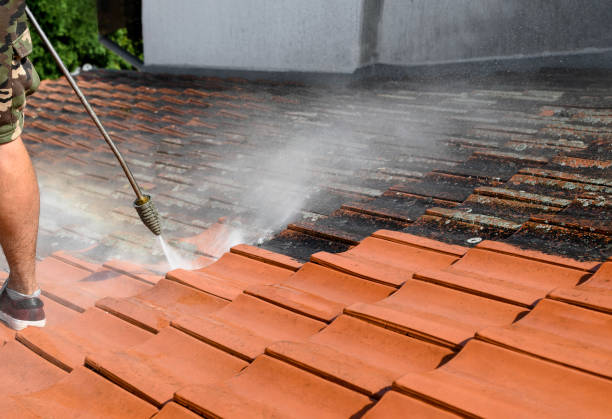 Best House Pressure Washing  in Esperance, WA